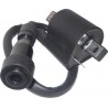 Bobina De Encendido Para Moto Pulsar 180