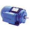 Motor Trifasico Estándar 3.0 3600 RPM