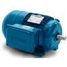 Motor Trifasico Alto Rendimiento 3.0 3600 RPM